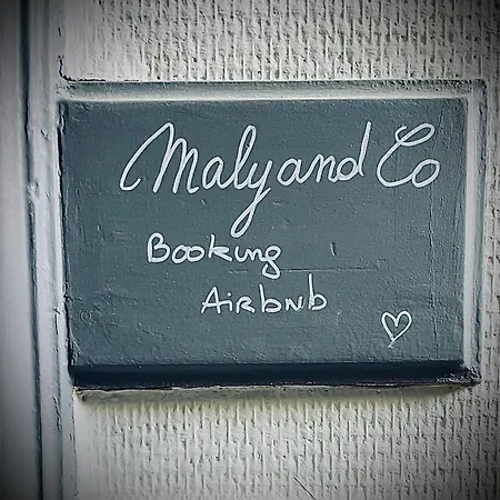 Malyandco نيس